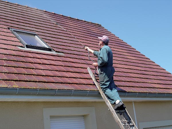 Homme qui nettoie une toiture en tuiles plates à l'aide d'un pulvérisateur sur une échelle