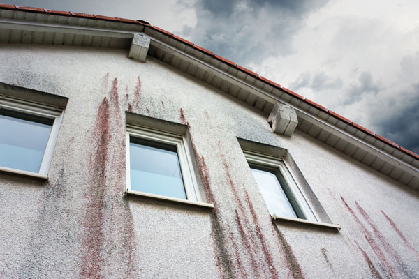 Façade en enduit remplie d'algues rouges